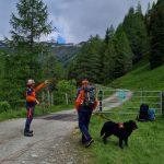 20230617_095255 (Mittel)