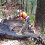 Waldbrand Einsatz ÖBRD Ortsstelle Neukirchen