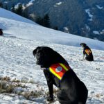 Foto: BR Dorfgastein