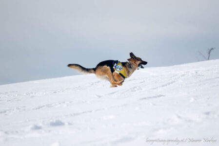 csm_2017_02_04_Bergrettung_Bezirksuebung_Strobl__E1A9065_7f47caceef